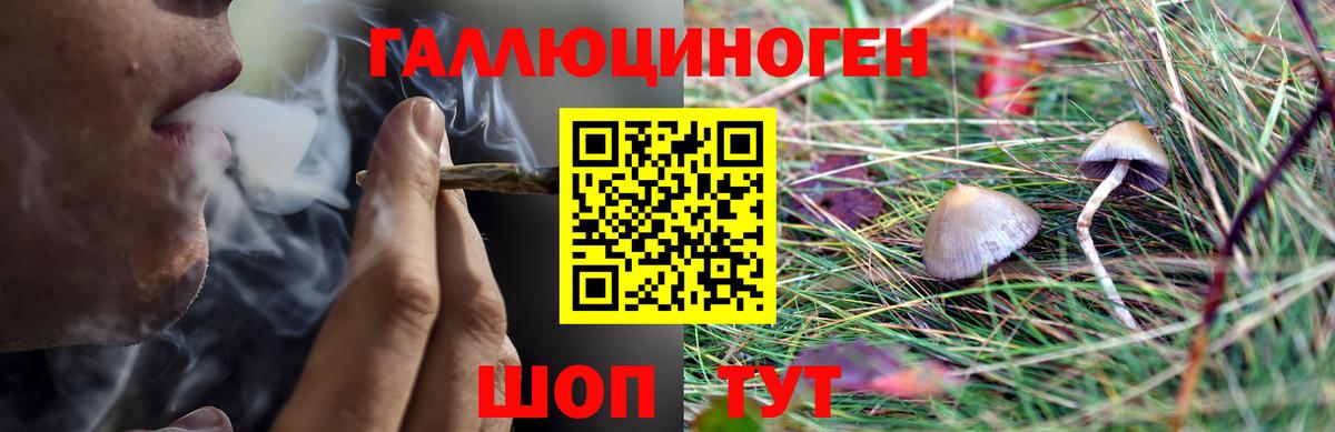 Псилоцибиновые грибы Magic Shrooms  Псилоцибиновые грибы мицелий  Вход с VPN  Томск 